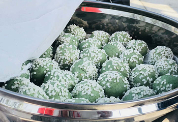 宁波植物园第 78 张图片