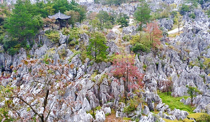 千岛湖石林景区第 44 张图片