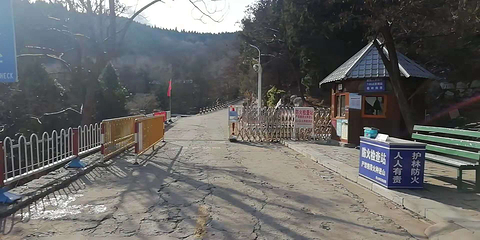 原山国家森林公园第 14 张图片