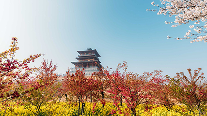 古柏渡飞黄旅游区第 34 张图片
