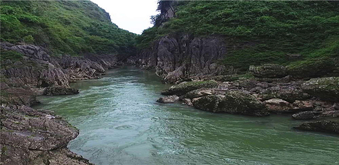 九龙原始森林漂流第 14 张图片