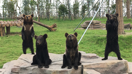 南通森林野生动物园第 215 张图片