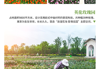 三翁花园第 10 张图片