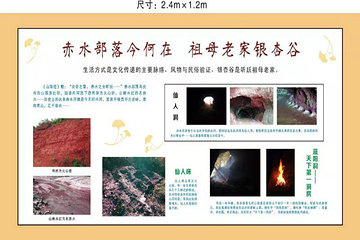 千年银杏谷文化旅游区第 32 张图片