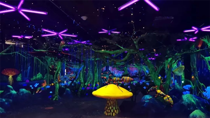 南通海底世界第 22 张图片