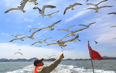 海驴岛第 19 张图片