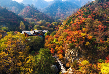 九如山休闲旅游度假区第 228 张图片