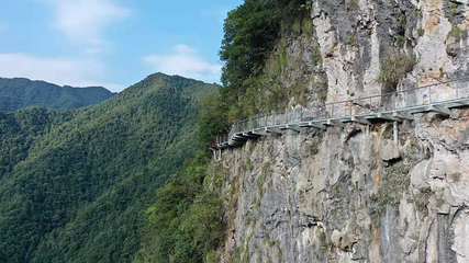 千岛湖石林景区第 58 张图片