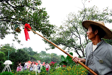 西溪国家湿地公园第 215 张图片