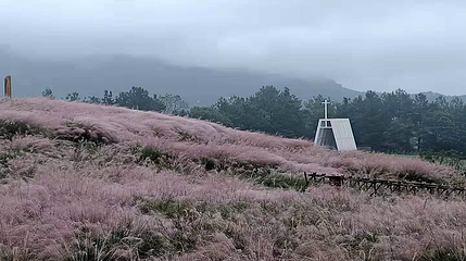 横山花仙谷第 71 张图片