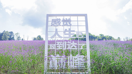 横山花仙谷第 60 张图片