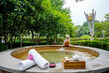 金凤凰温泉度假村第 55 张图片