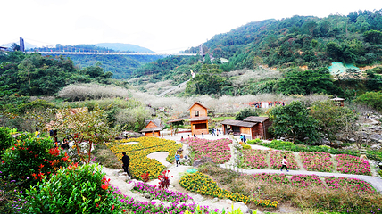 新兴天露山旅游度假区第 47 张图片
