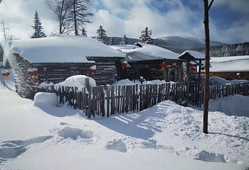大秃顶子山第 27 张图片