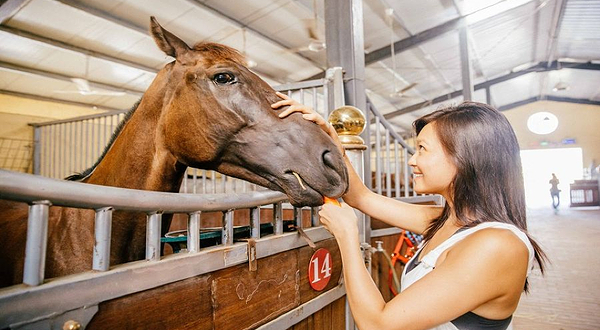 滨岛马术俱乐部