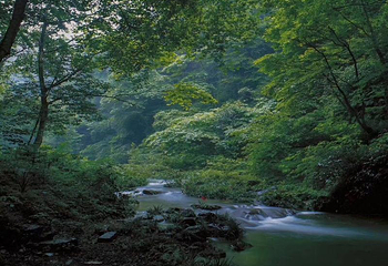 道须沟风景区第 33 张图片