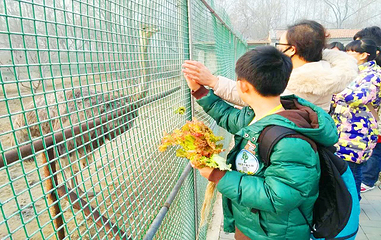 晶宝温泉农场第 12 张图片