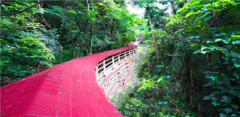 天峡第 71 张图片