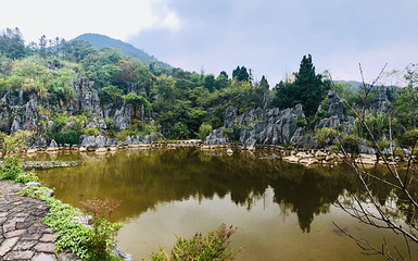 千岛湖石林景区第 23 张图片
