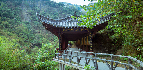 龙须山景区第 17 张图片