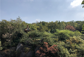 天生桥景区第 48 张图片