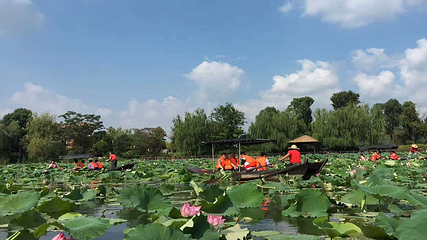 金龙水寨生态乐园第 47 张图片