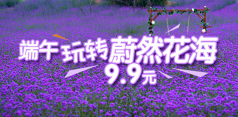 蔚然花海第 305 张图片