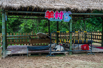 龙虎山风景区-仙宠乐园第 41 张图片