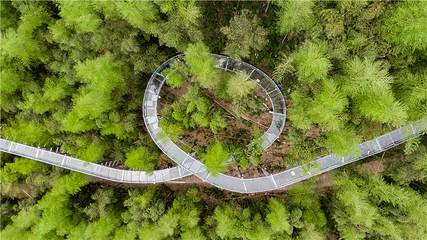 星潮营地-竹尖上的漂流第 61 张图片