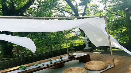 蒙顶山第 136 张图片