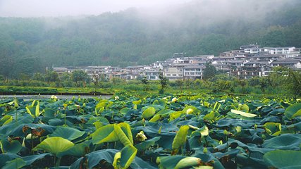 和顺古镇景区第 55 张图片