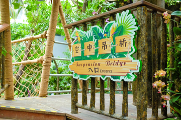 正佳雨林生态植物园第 69 张图片