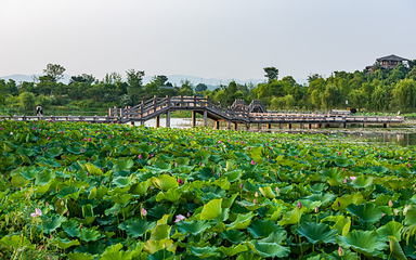 仙山湖风景区第 27 张图片
