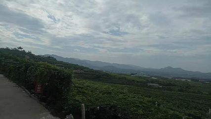 大泽山第 10 张图片