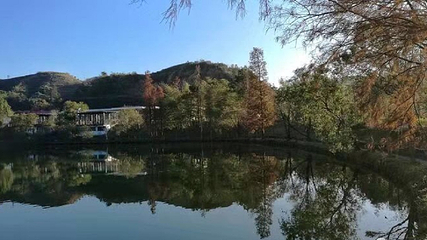 大洋国际生态旅游区第 31 张图片