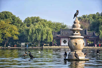 西湖风景名胜区第 102 张图片