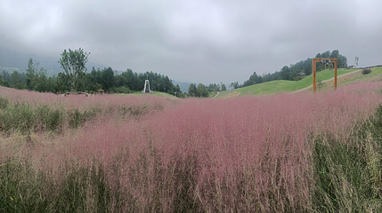 横山花仙谷第 69 张图片