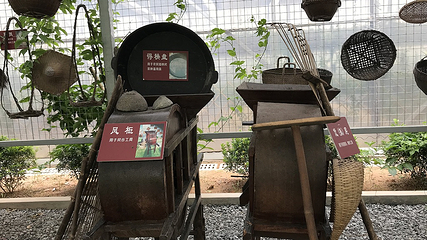 东江印象特色农业园第 29 张图片