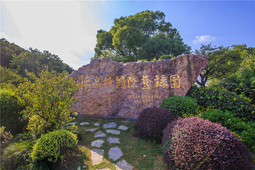 梅园第 161 张图片