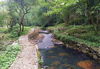 平江沱龙大峡谷第 10 张图片