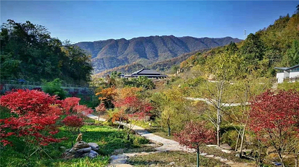 鬼谷岭景区第 19 张图片