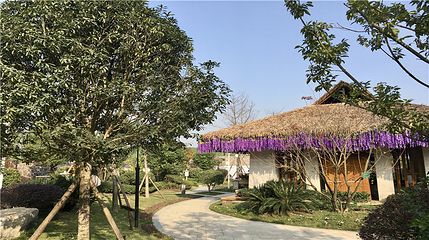 乐湾温泉第 19 张图片