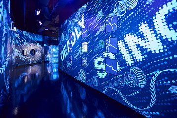 墨尔本水族馆第 15 张图片