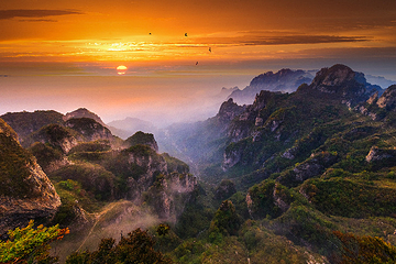 王莽岭风景区第 11 张图片