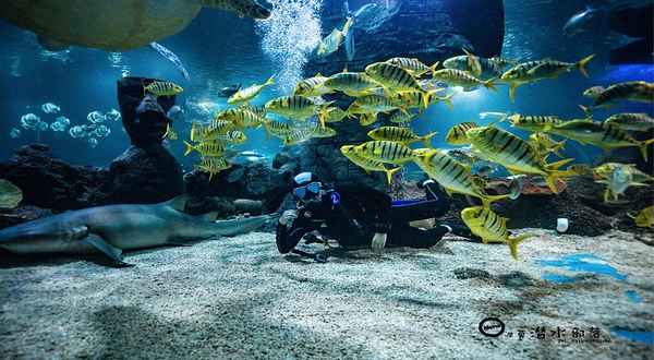 尼莫潜水部落(海悦天地购物广场店)