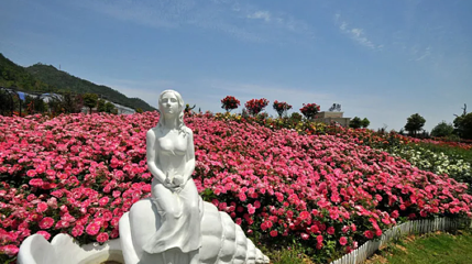 丽盛玫瑰庄园·户外烧烤第 1 张图片