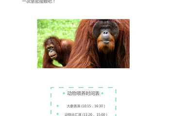 爱化摩沙野生动物园第 8 张图片