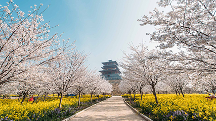 古柏渡飞黄旅游区第 11 张图片