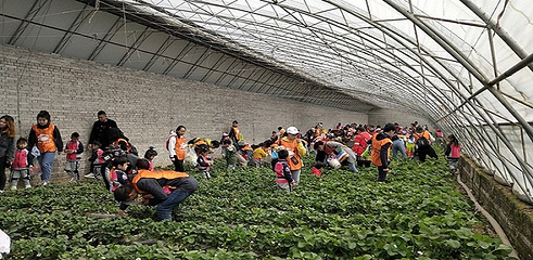假日绿岛第 2 张图片
