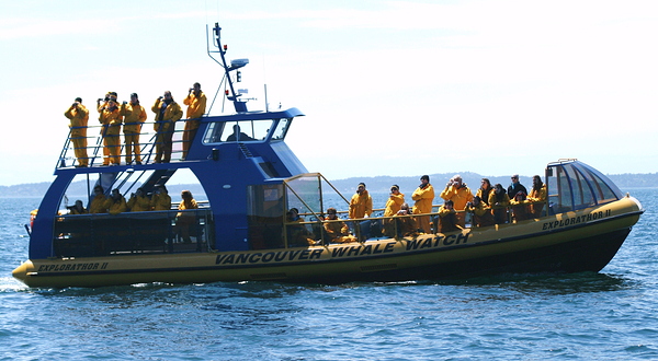 温哥华赏鲸公司